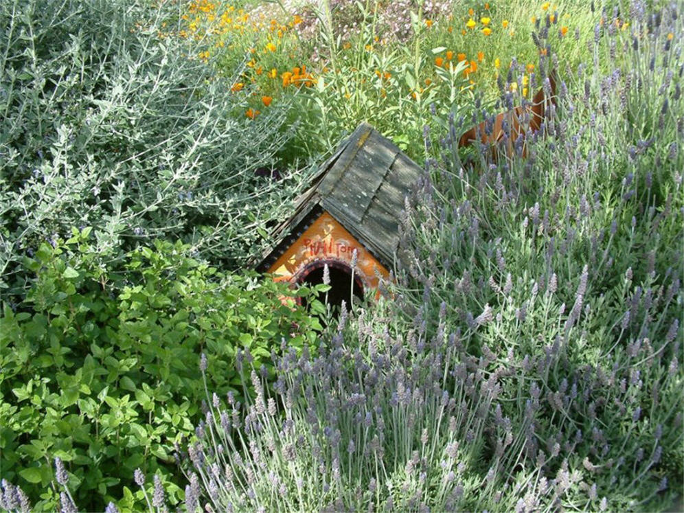 Hidden Dog House Garden
