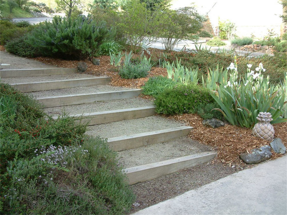 Gentle Stairs in Early Spring