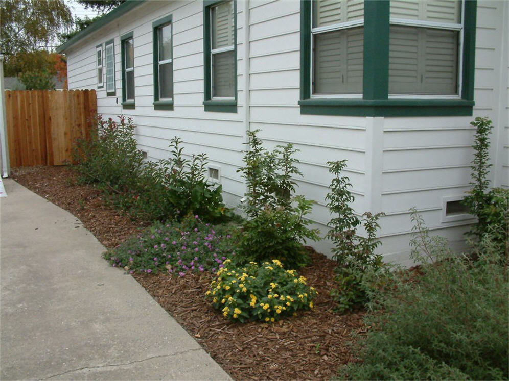 Side Yard and Compost Two