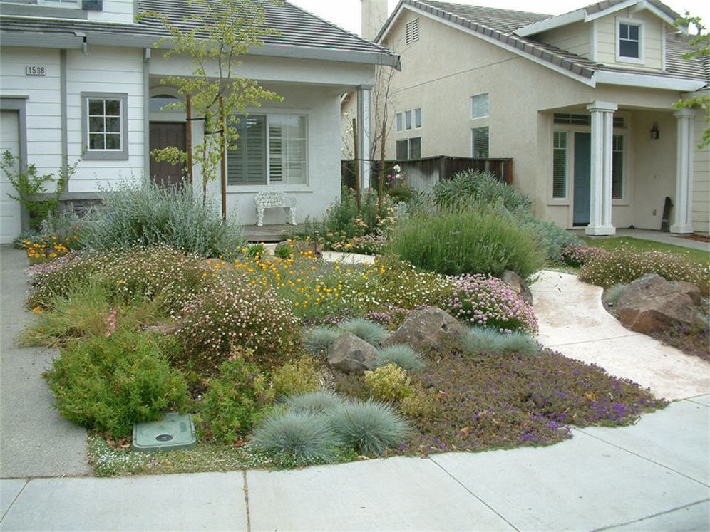 Perennial Color Garden