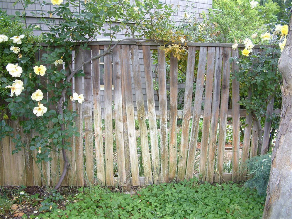 Funky Fence