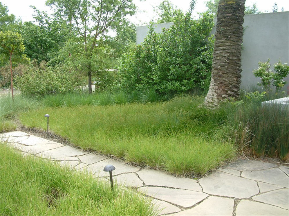 Entry Walk with Flagstone and Lights