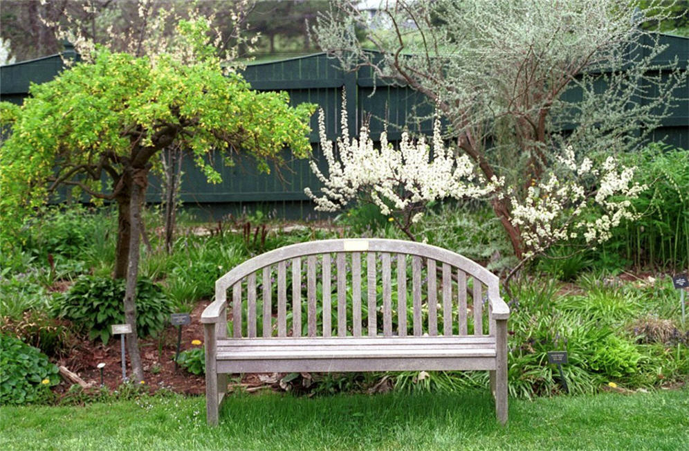 Classic Garden Bench