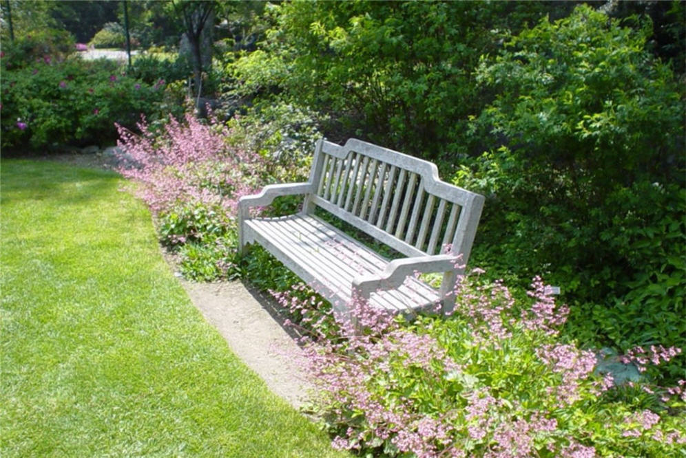 Park Bench and Heuchera