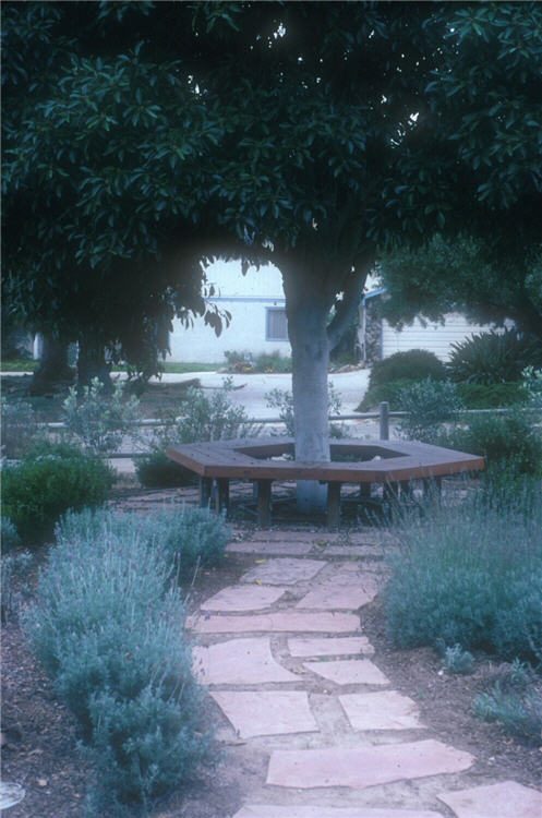 A Summer's Day Bench