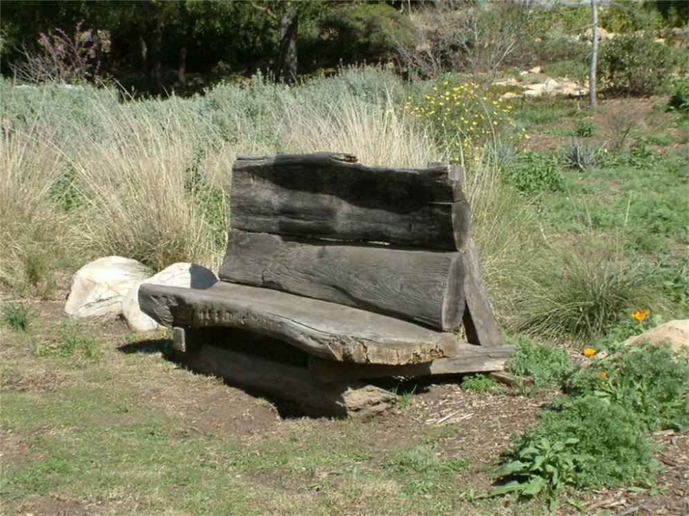 Split Log Rustic Bench