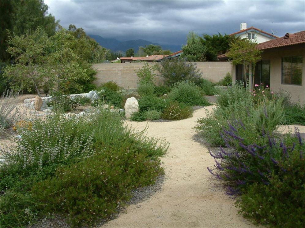 Native Backyard Sanctuary