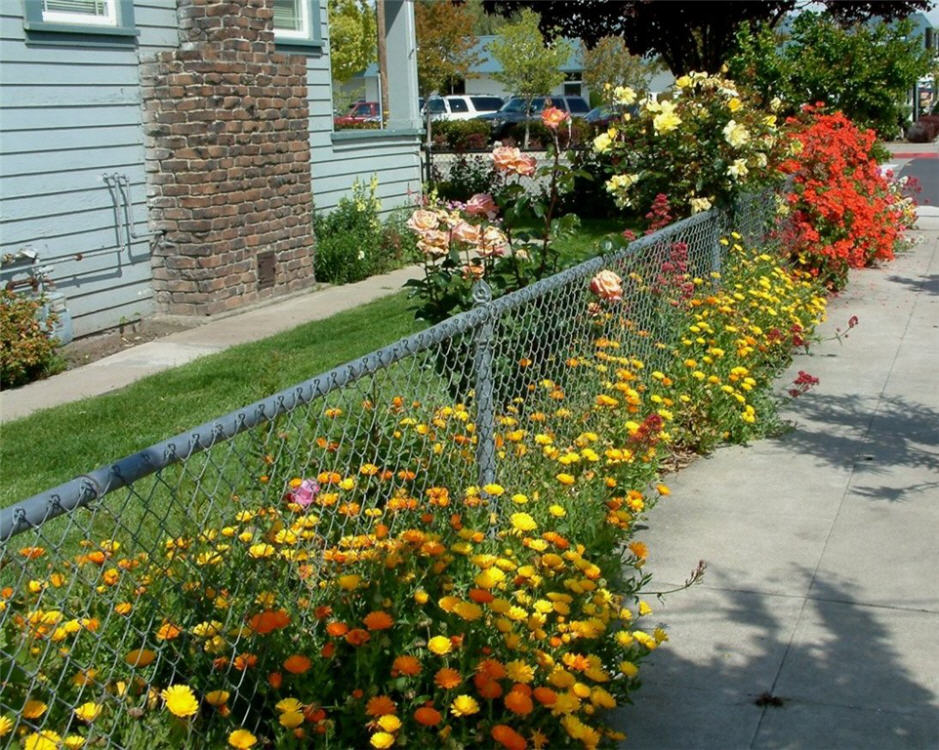 Practical  Chain Link Fence