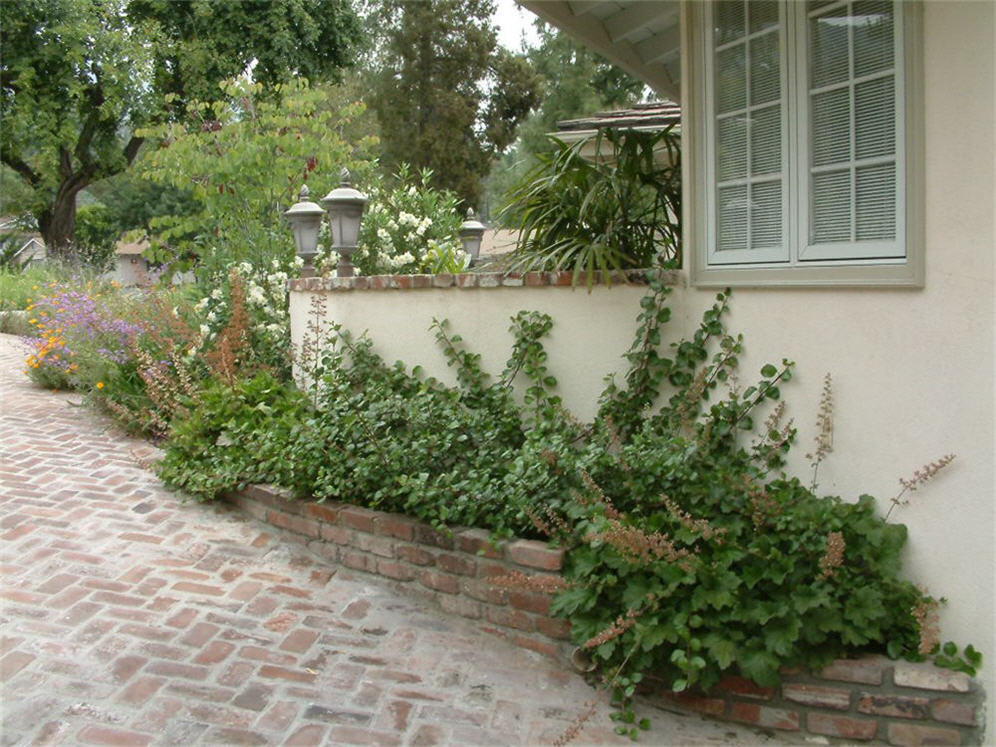 Native Plantings Along Drive