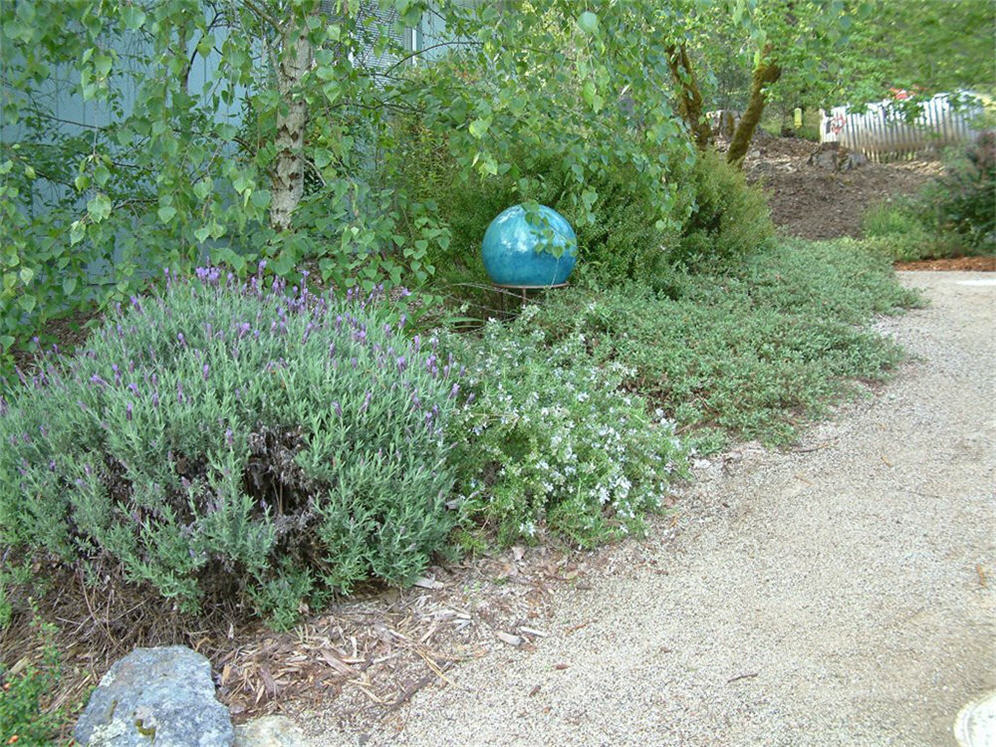 Hidden Globe in Spring