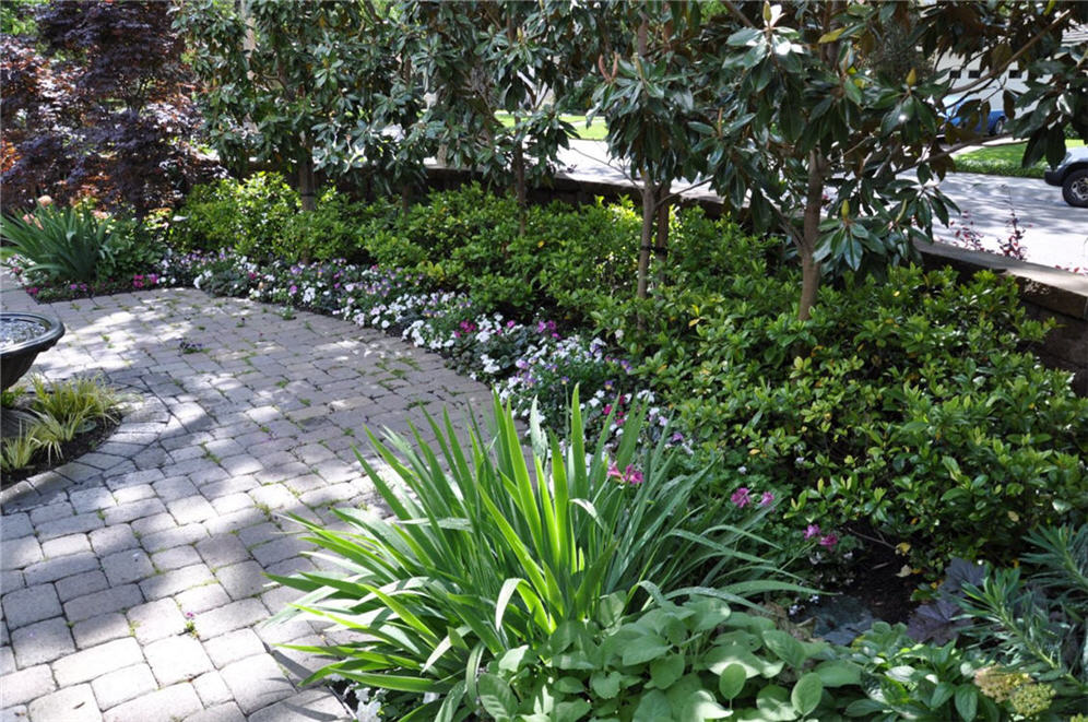 Shade Garden Courtyard Bed