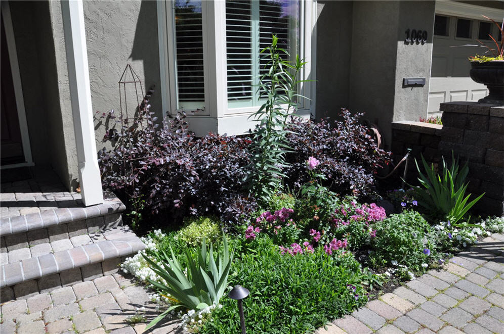 Shade Garden Front Entry Planter Area