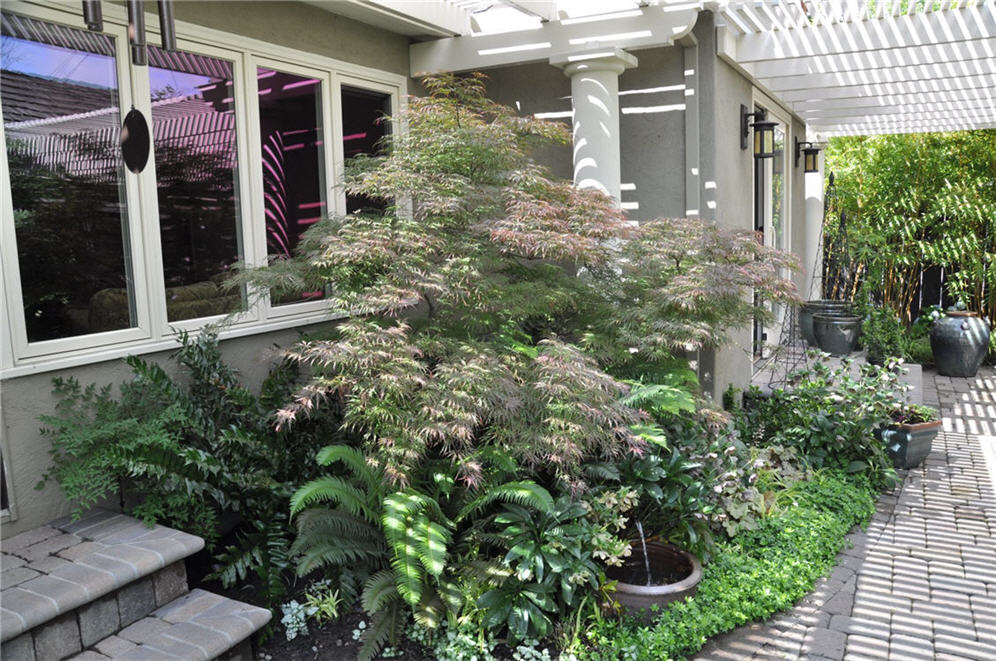 Shade Garden Under Cover