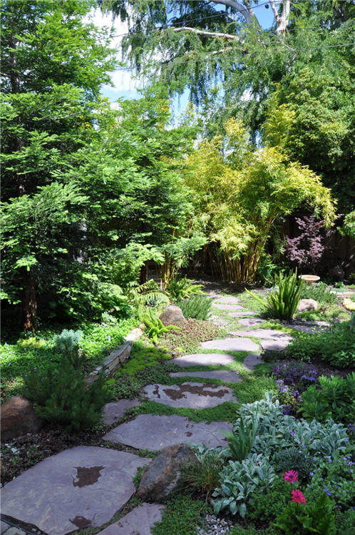 Shade Garden Path in the Back Yard