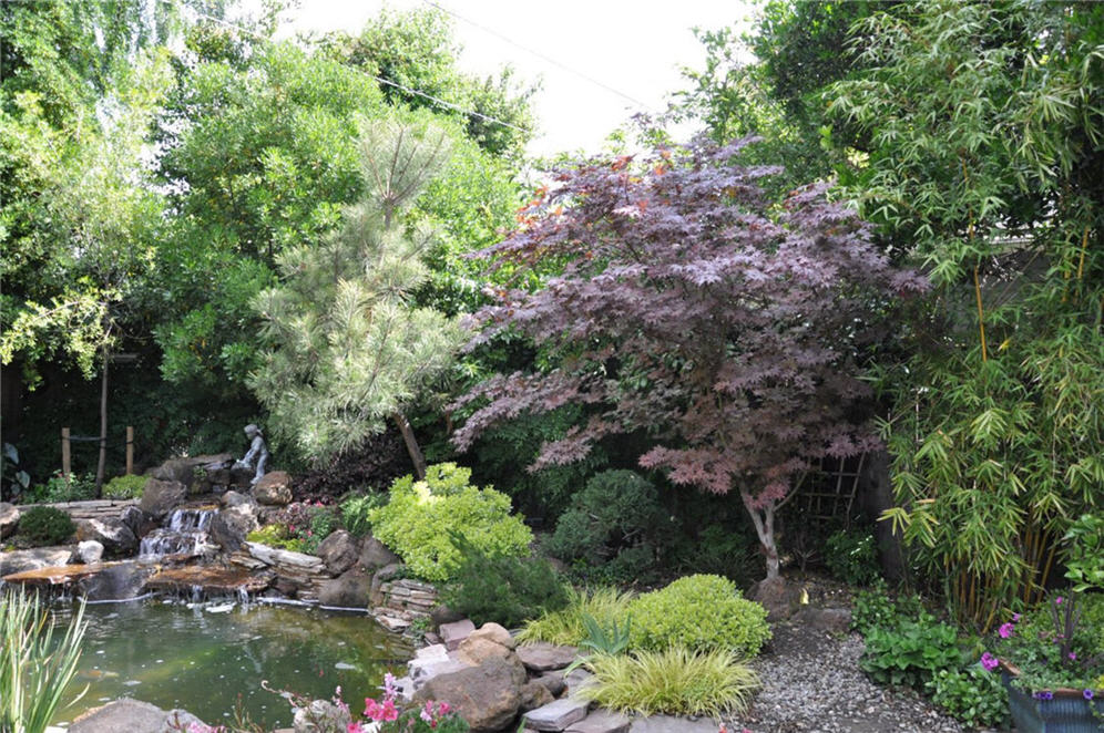 Shade Garden by the Pond