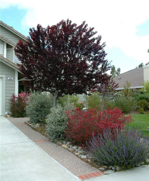 Sacramento Driveway