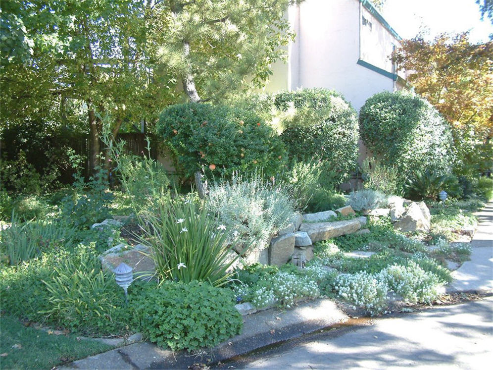 Streetside Garden