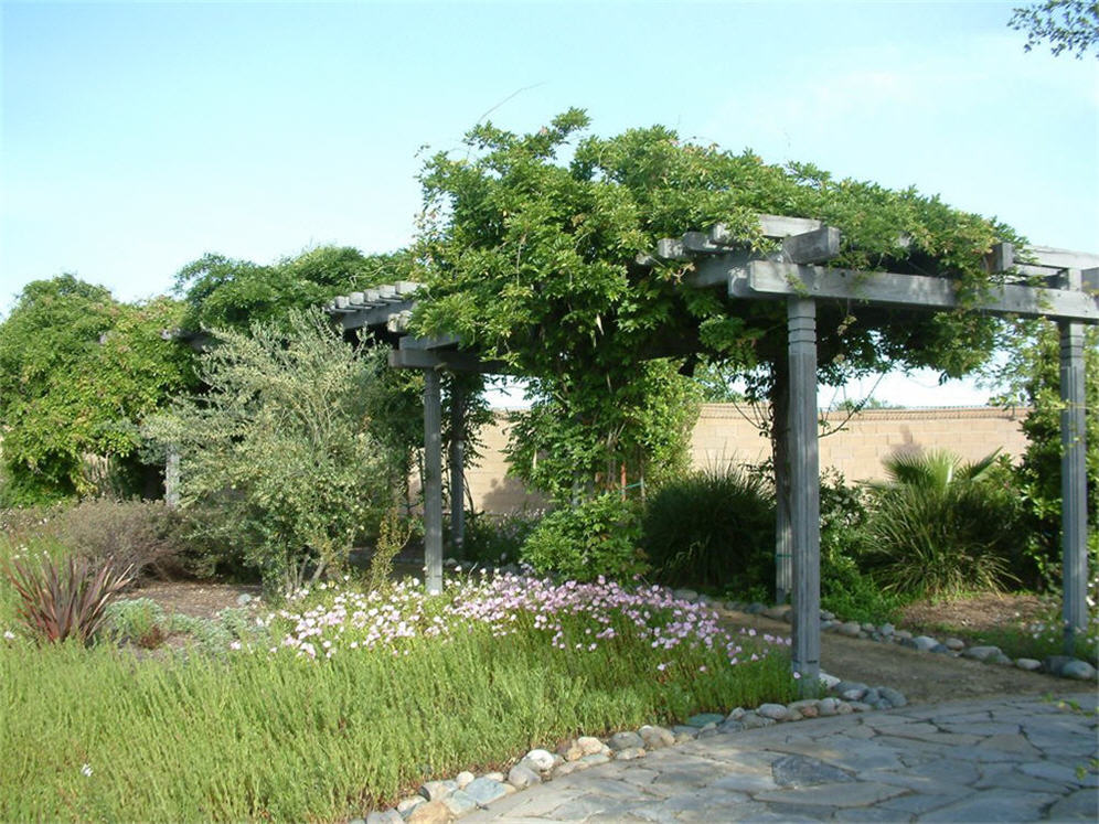 Arbor at Antelope Gardens