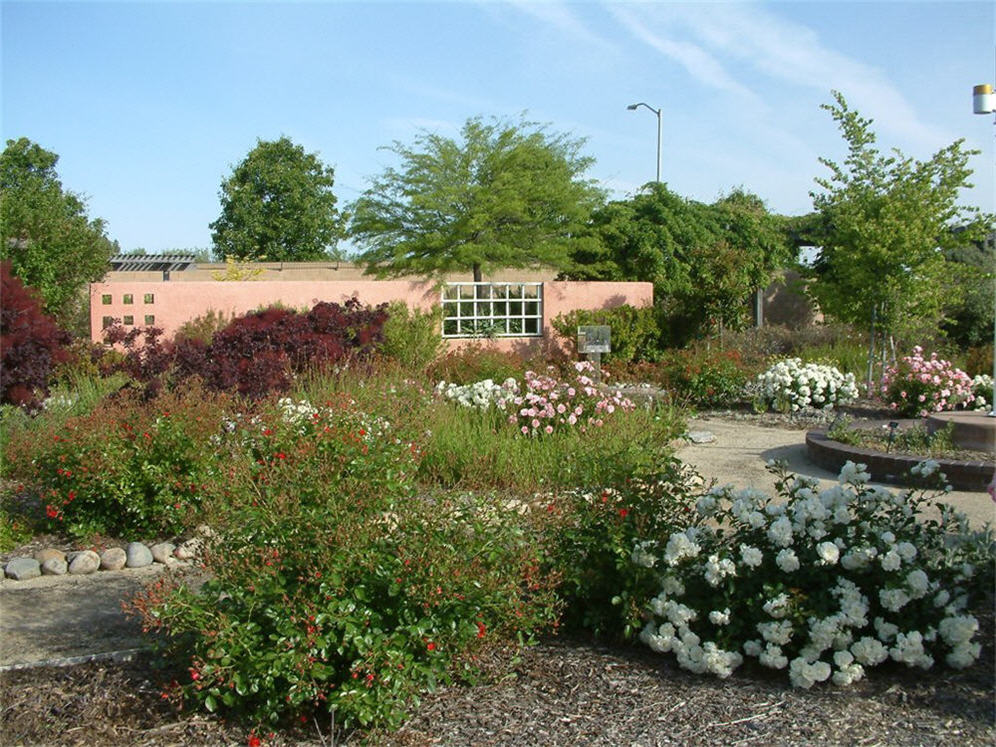 Spring Flowers at Antelope Gardens