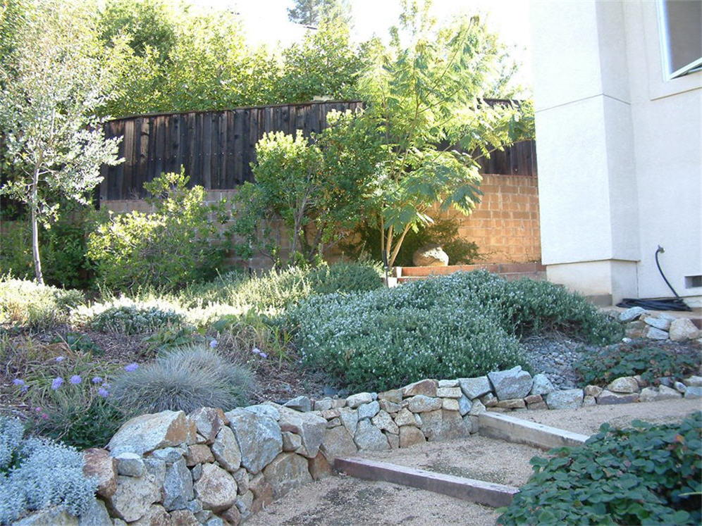 Backyard Stairs