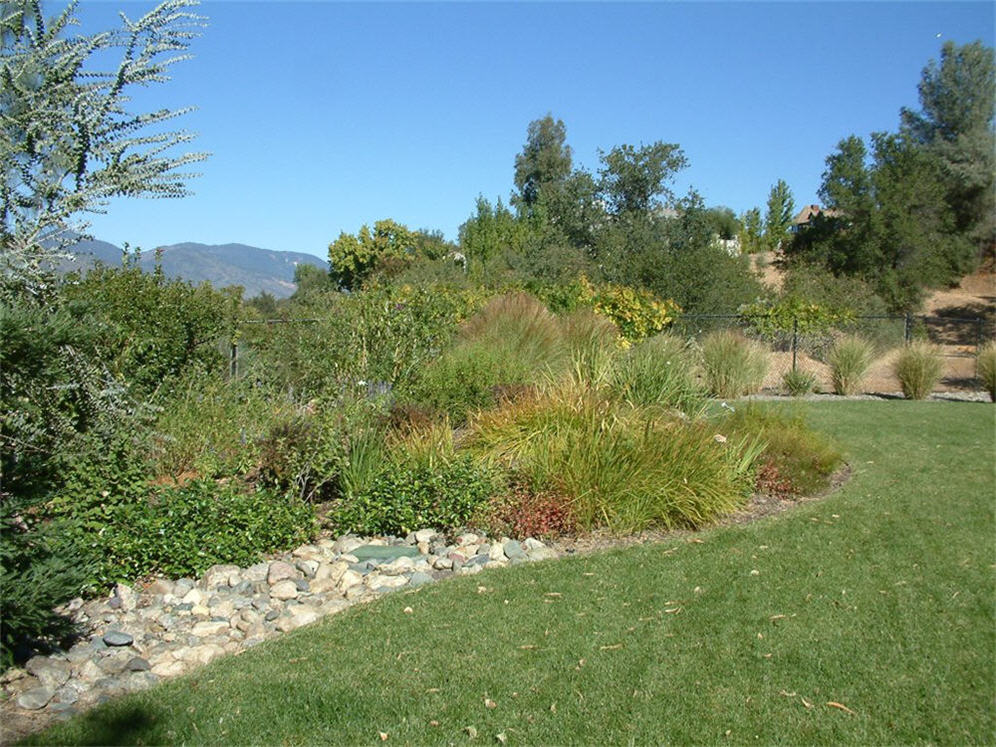 Backyard Lawn Area Plantings