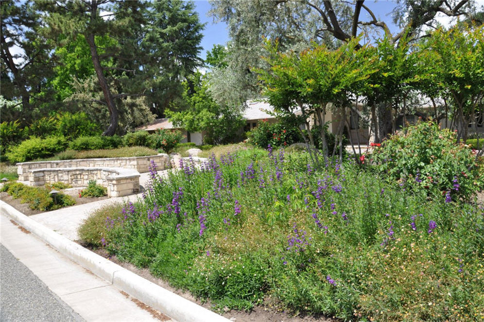 Two Sides Entry Penstemon Bed