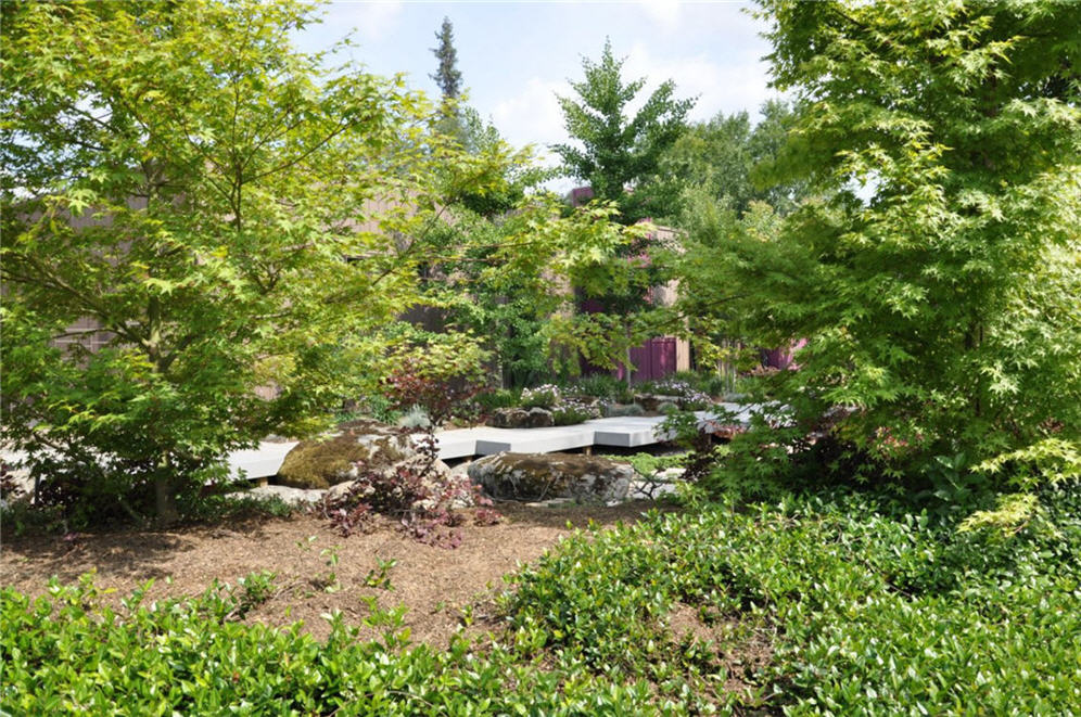 Walkway Flanked by Trees