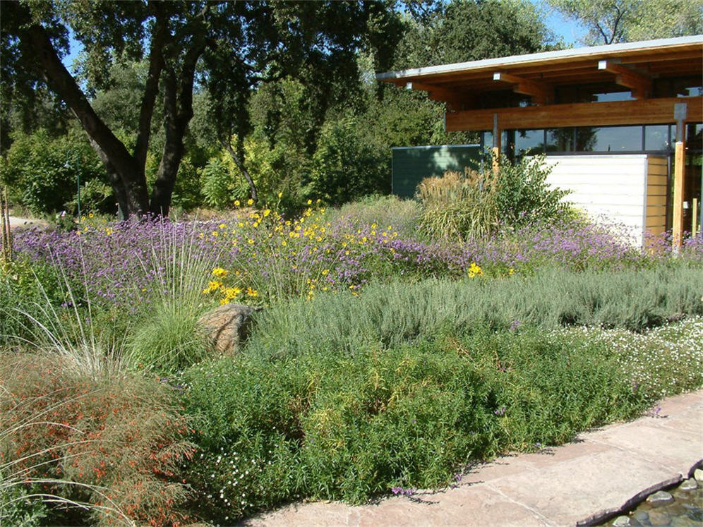 Park Entry Garden