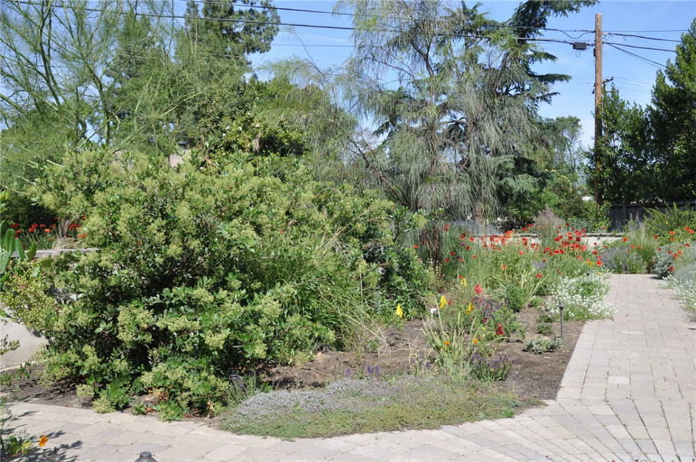 Dense Perennial Border