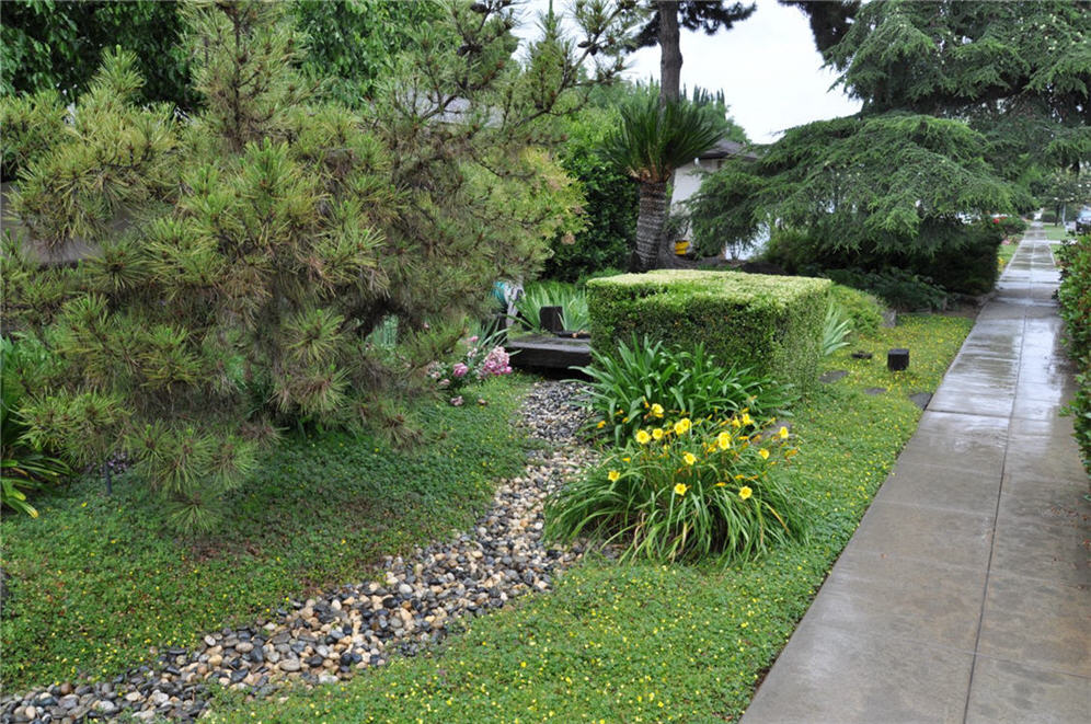 Long Meandering Creek