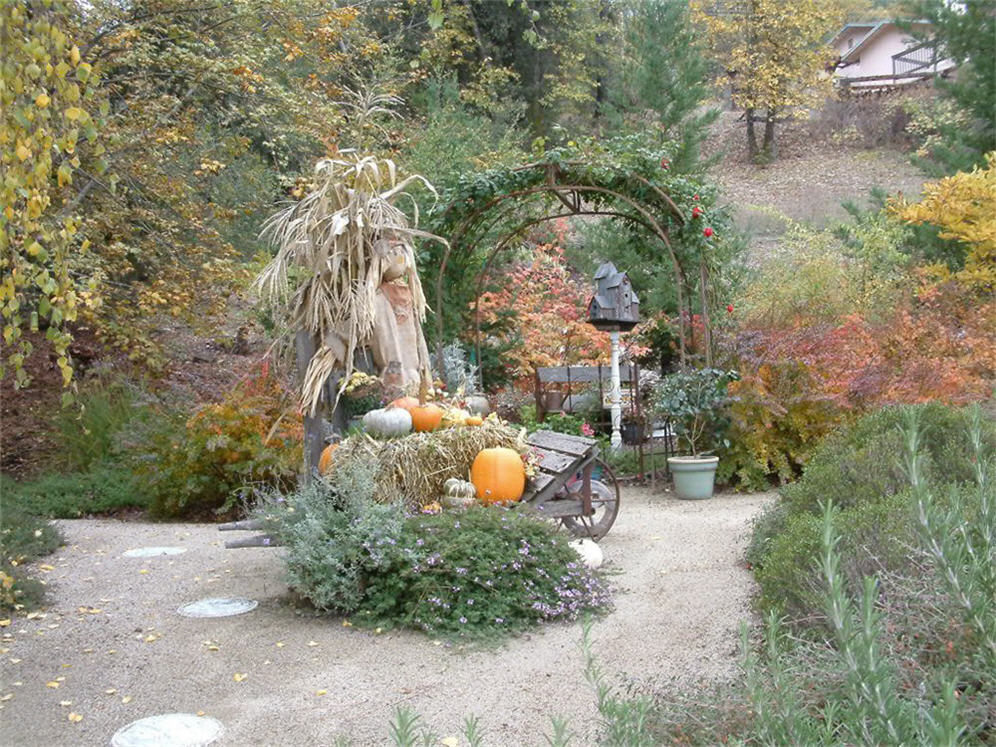 Thanksgiving Display