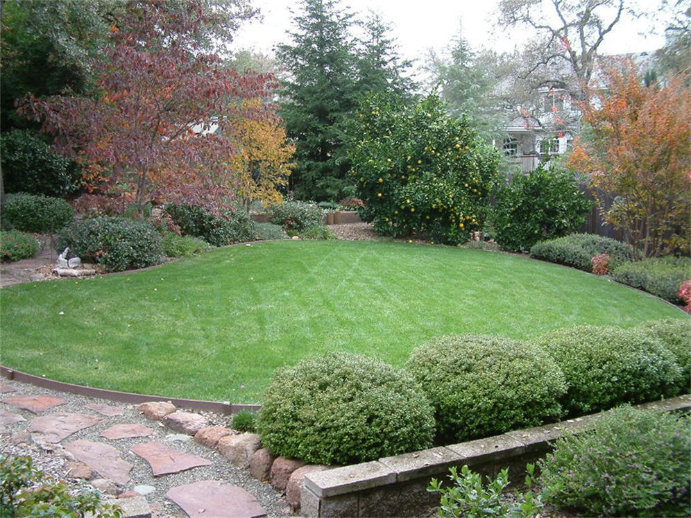 Tastefully Designed Lawn Area