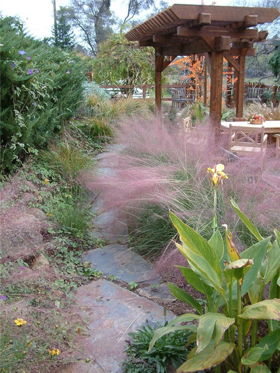 Path Around Courtyard