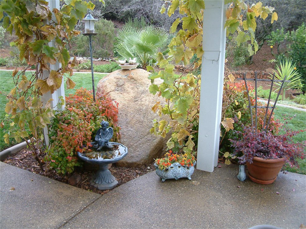 Rural Patio Planting