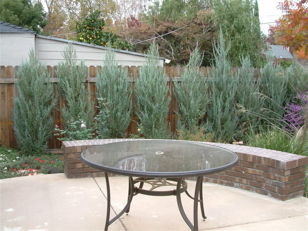 Back Patio with Table