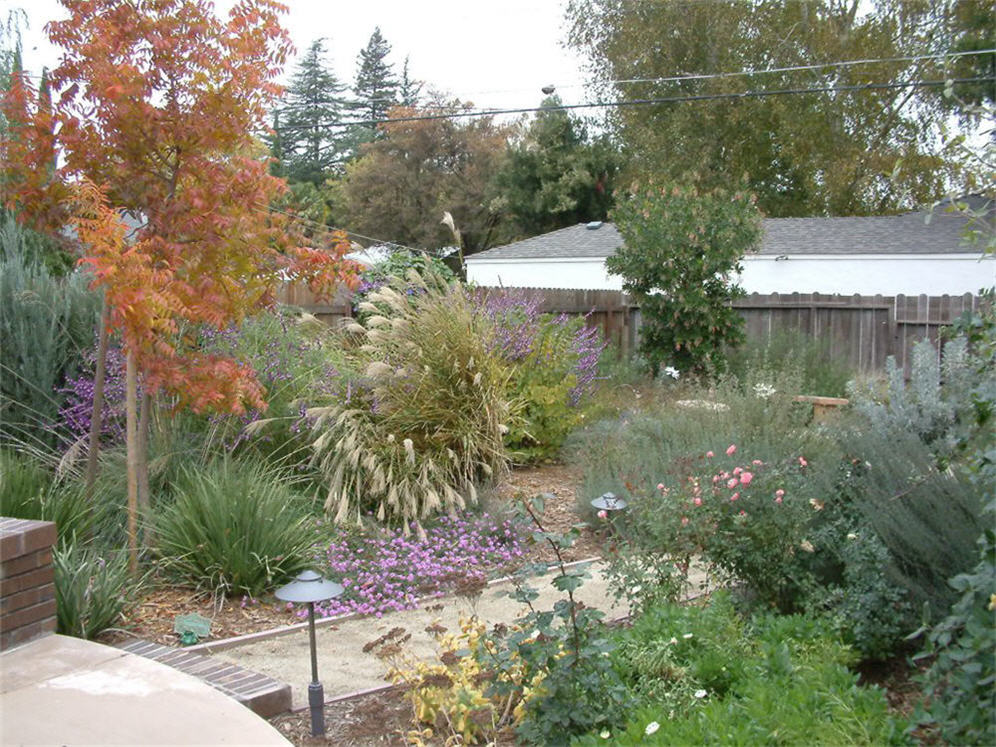 Garden With Path Sacramento in Fall